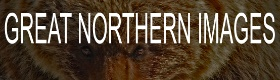 Great Northern Images Logo