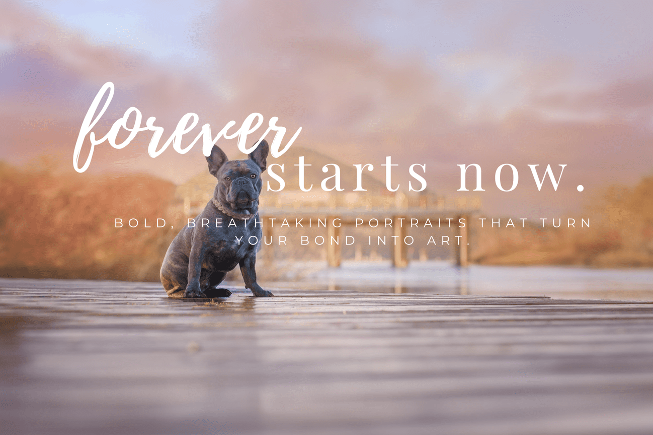 Forever Starts Now. Bold Breathaking Portraits that turn your Bond into Art.