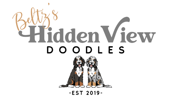 Beltz Hidden View Doodles Logo