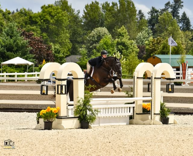 Horse and rider clearing a stone-style obstacle in a show jumping arena.