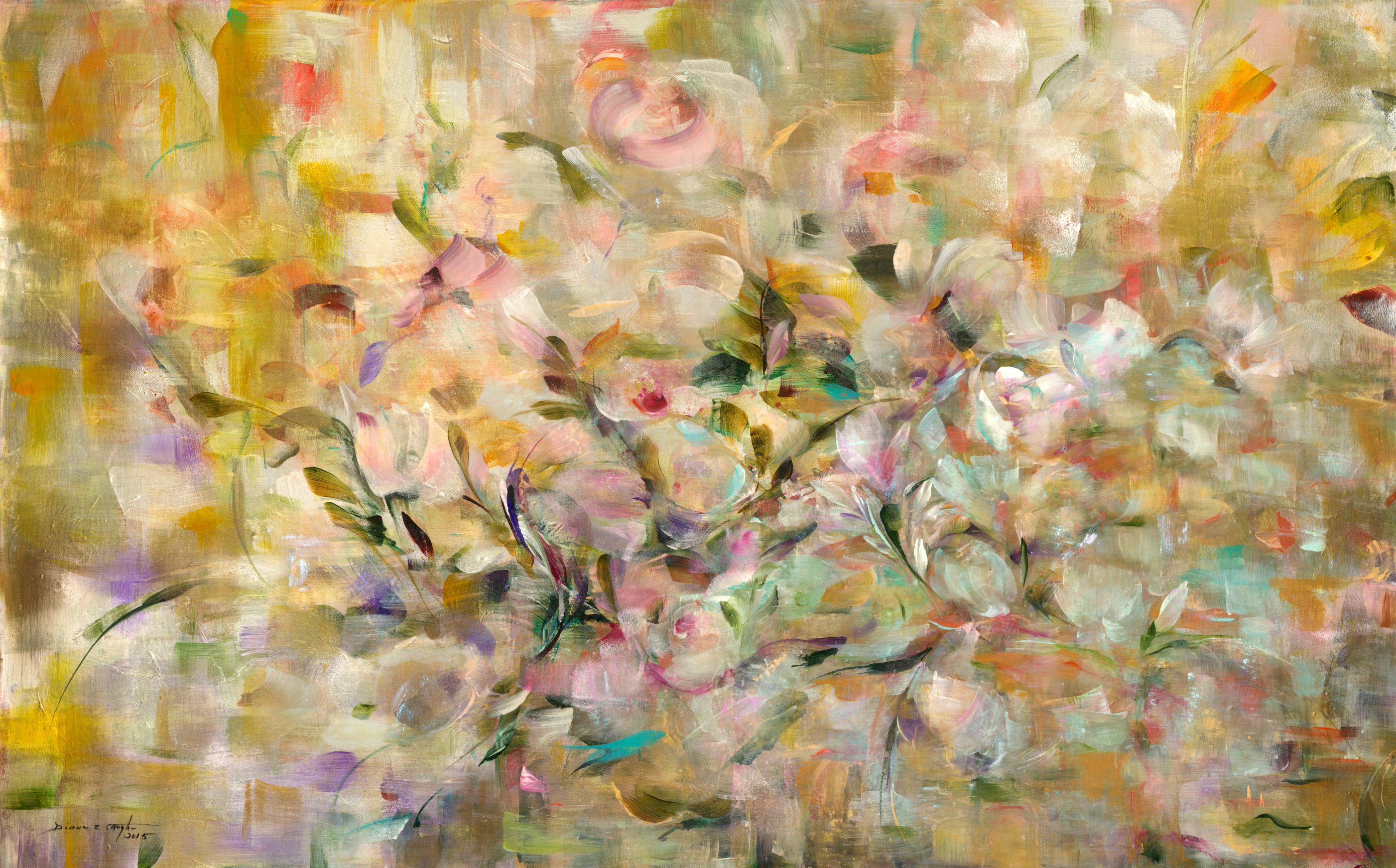 Contact Soft Illusions Fine Art Gallery