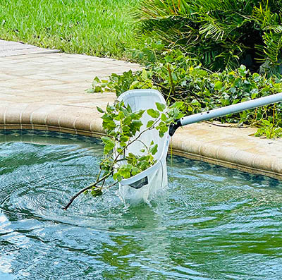 Pool cleanup after leaves and debris from a storm