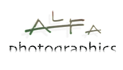 ALFA Photographics Logo