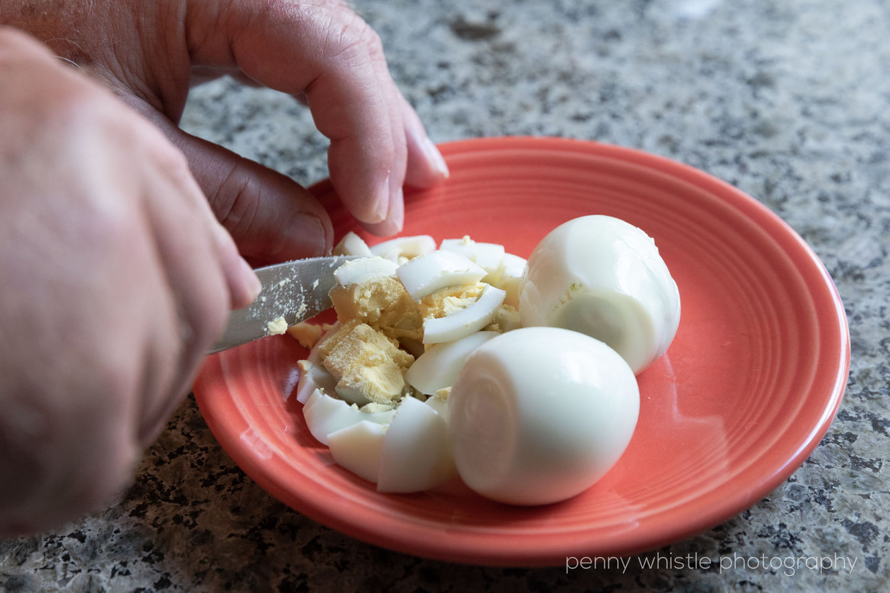 can i feed my large dog hardboiled eggs