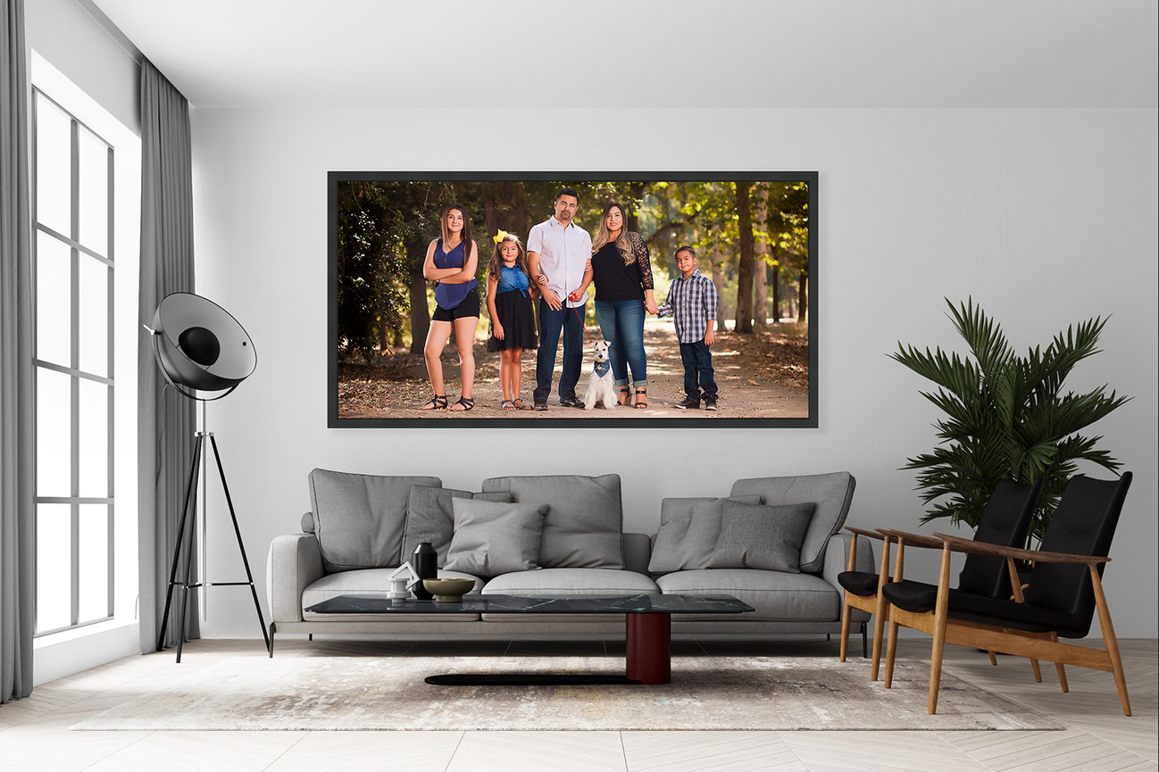 Family portrait on a wall in a modern living room with gray sofa, black lamp, and green plants.