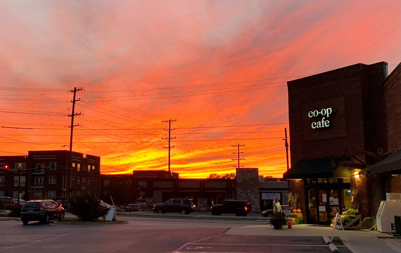 Deep Roots Market photo 19