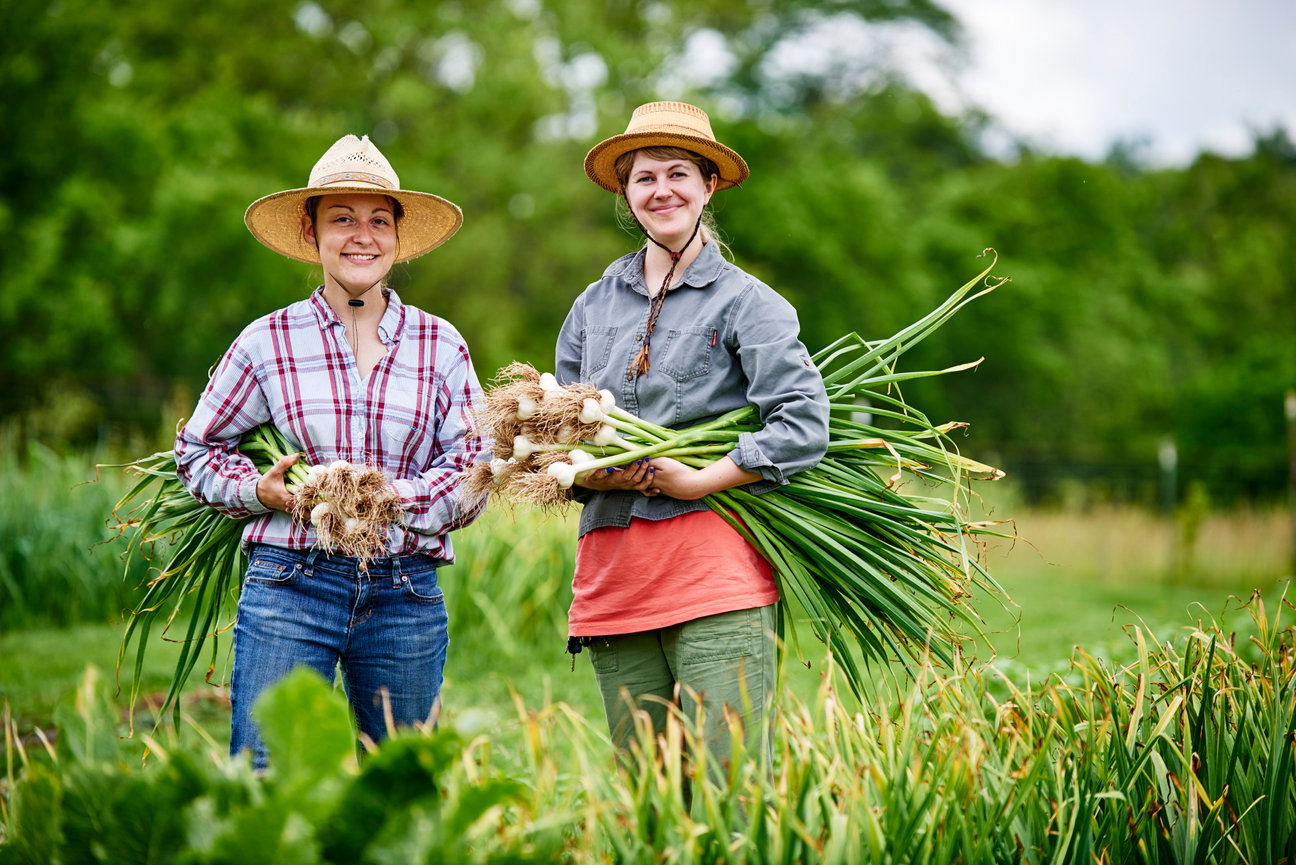 Deep Roots Market photo 2