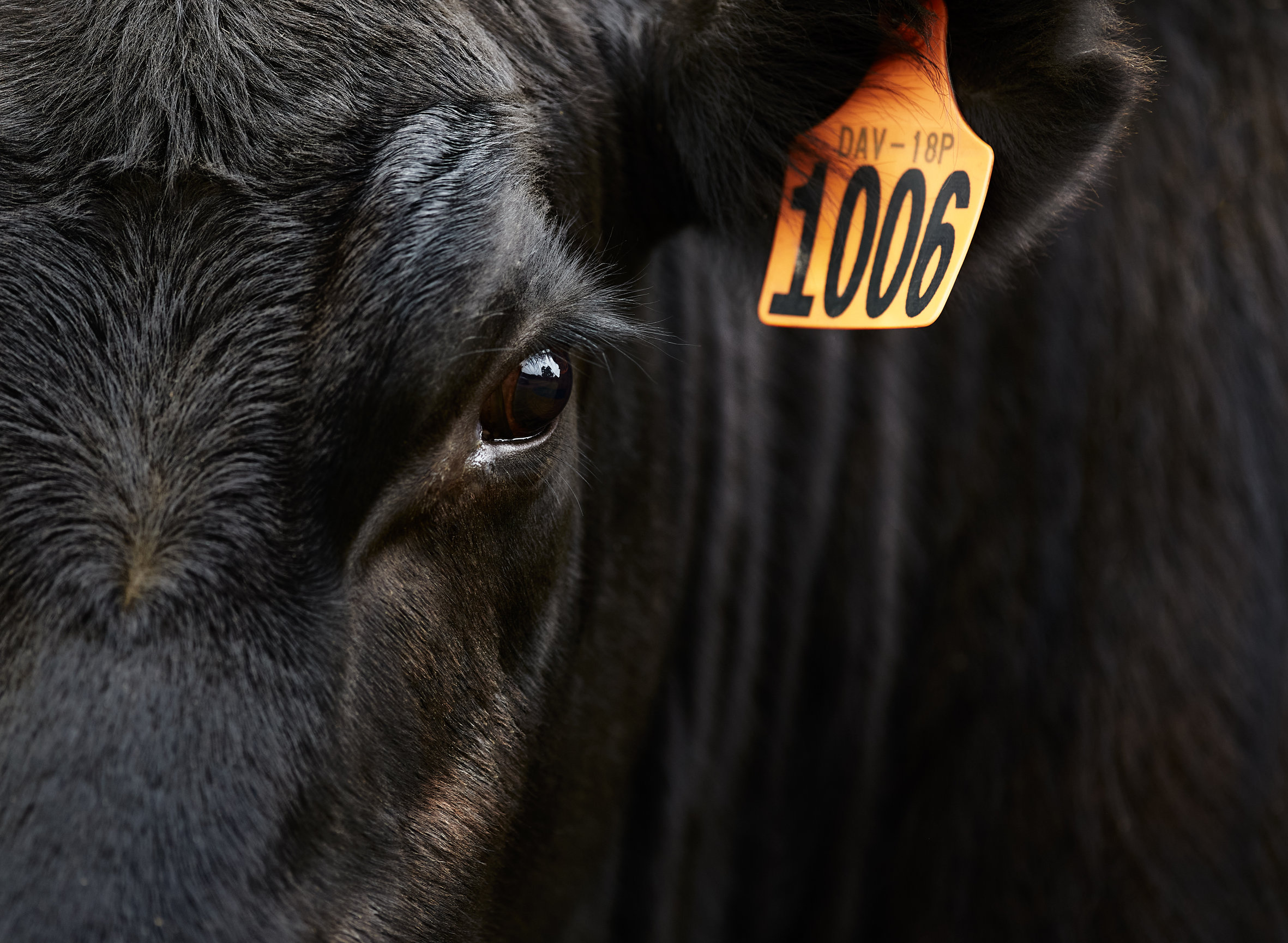 Mansfield Farm Project Photography Exhibition