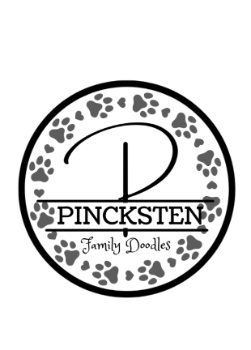 Pincksten Family Doodles Logo