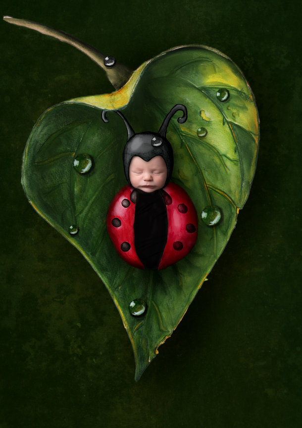 best newborn photographer near eau claire wisconsin