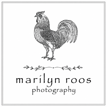 marilyn roos photography Logo