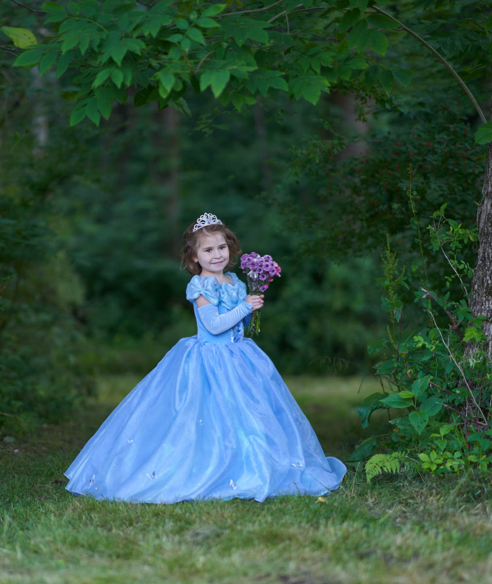 CINDERELLA INSPIRED PRINCESS PORTRAITS THIS AUGUST! - Always Remember ...