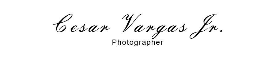 Vargas - Fine Art Photograhy Logo