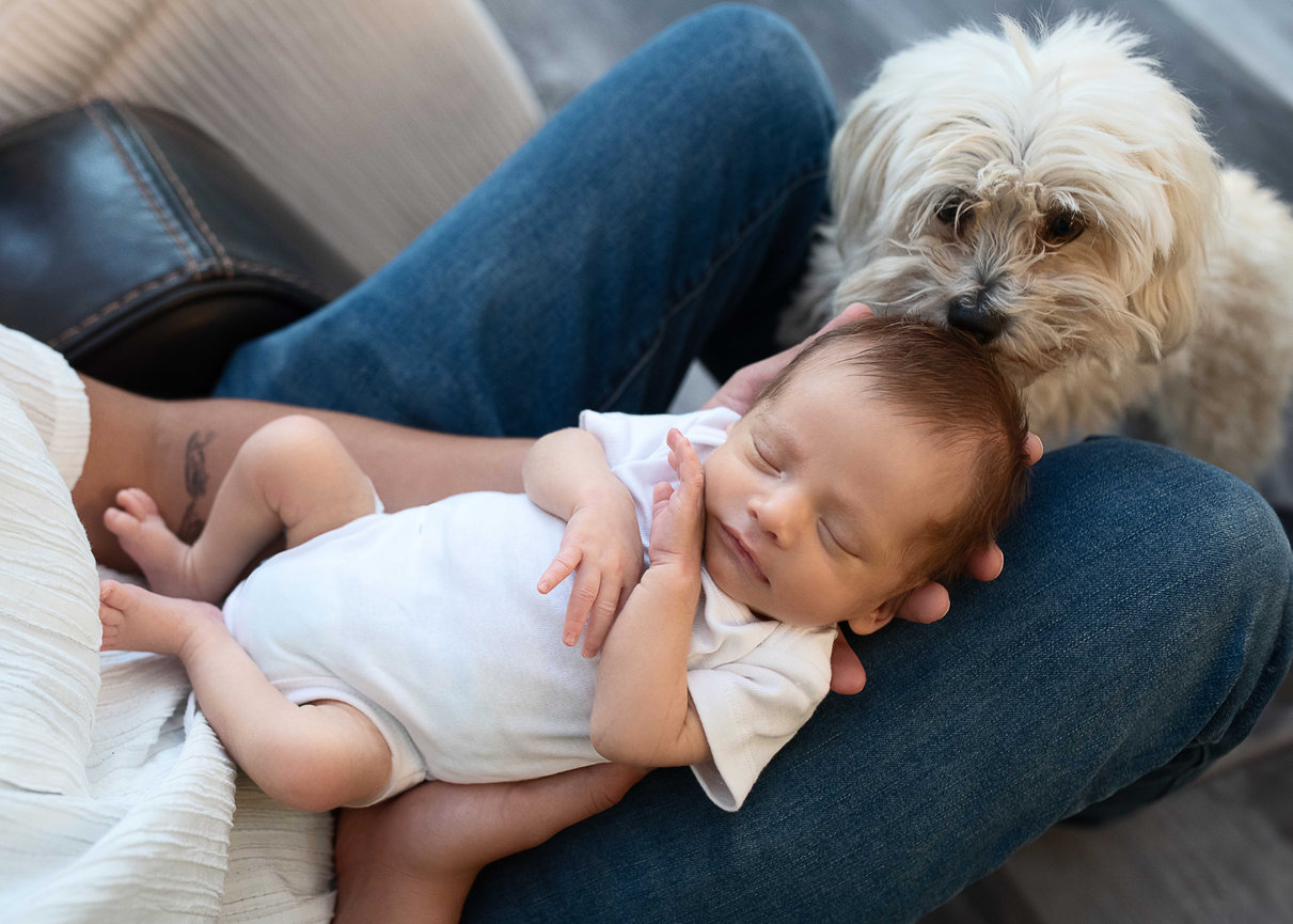 A newborn baby lying on a person’s lap, with a fluffy dog sniffing the baby's head.