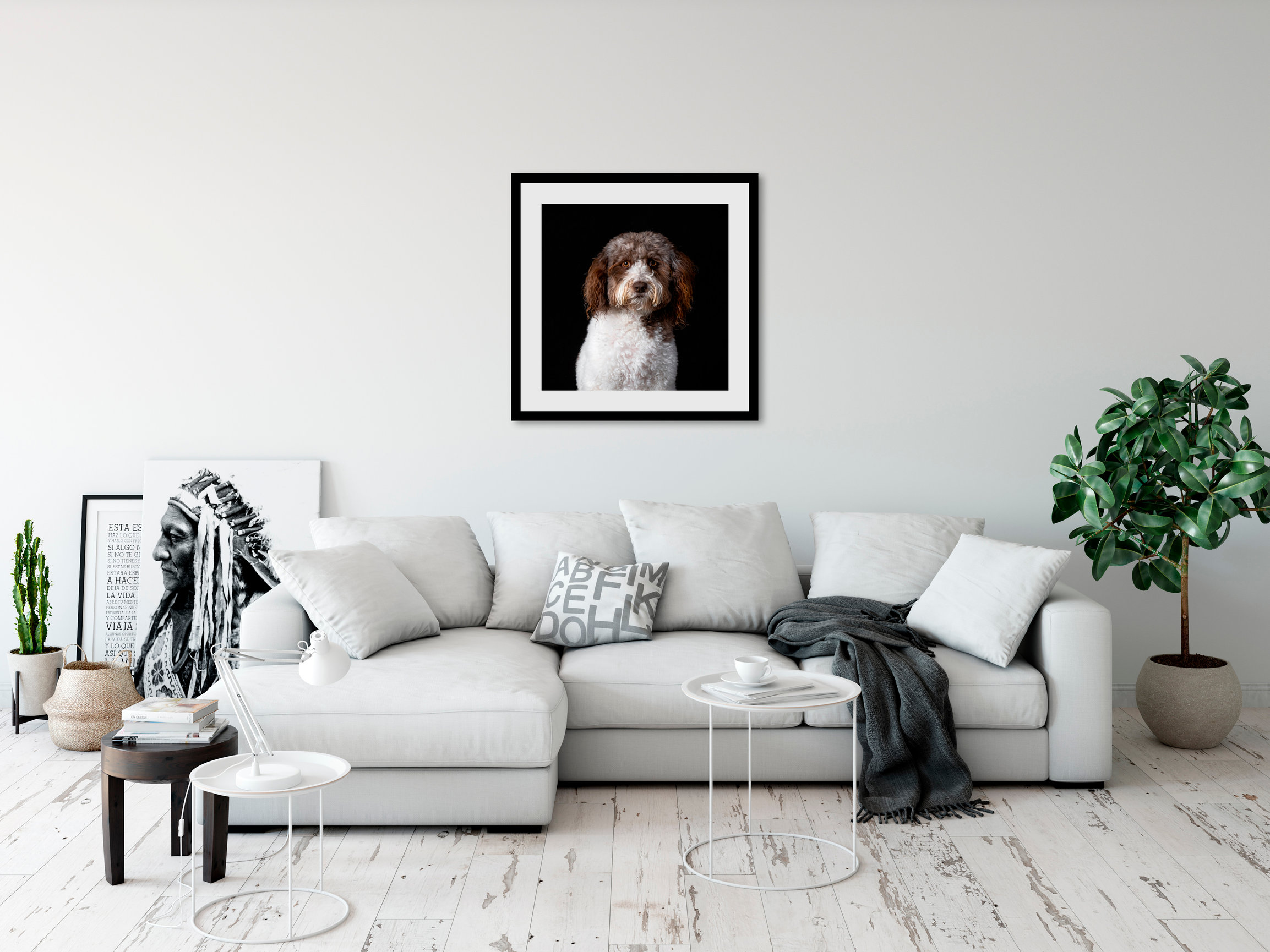 Diana Lundin Fine Art Pet Photographer | Greater Los Angeles Area