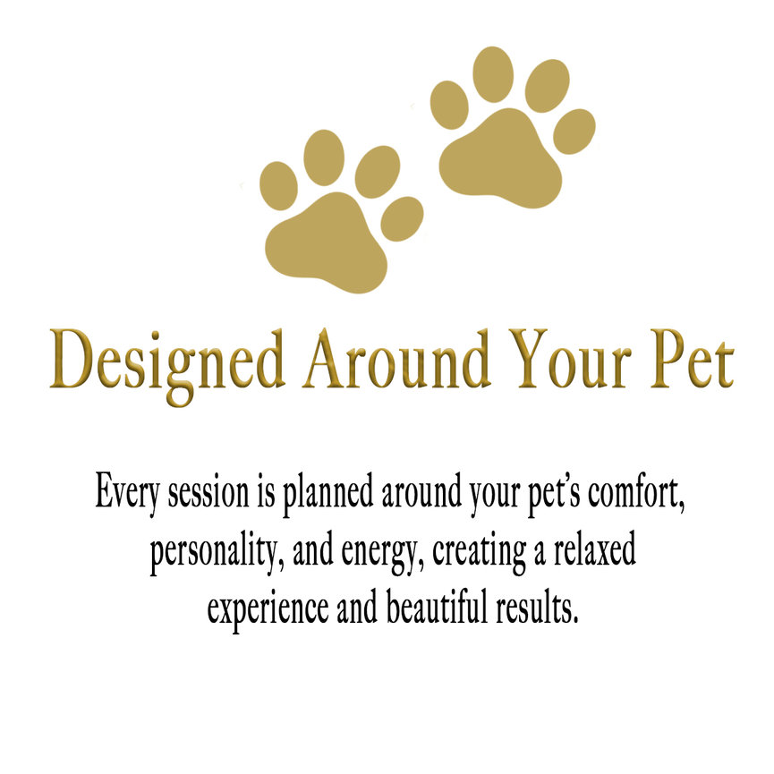 A personalized consutation appoint with Jami Scull Photography.