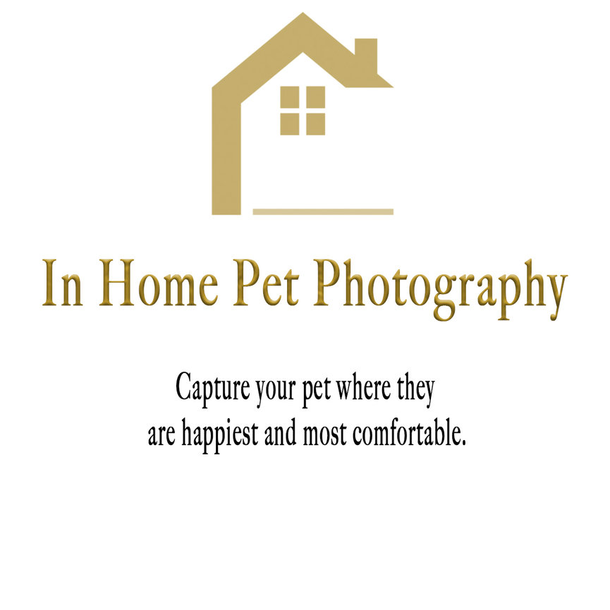 Pet photographer at your home in Fort Worth and surrounding areas of DFW.