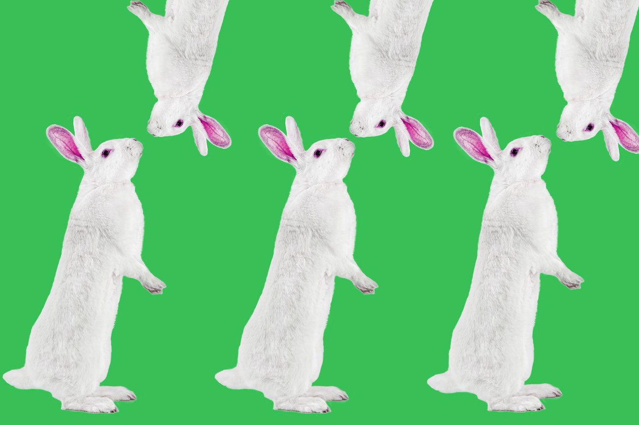 Bunny art work created for a client to use for her easter celebration.