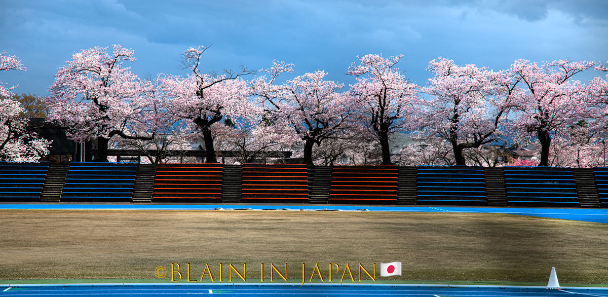 Akita Cherry Blossoms - Tohoku Private Cherry Blossom Photo Workshops