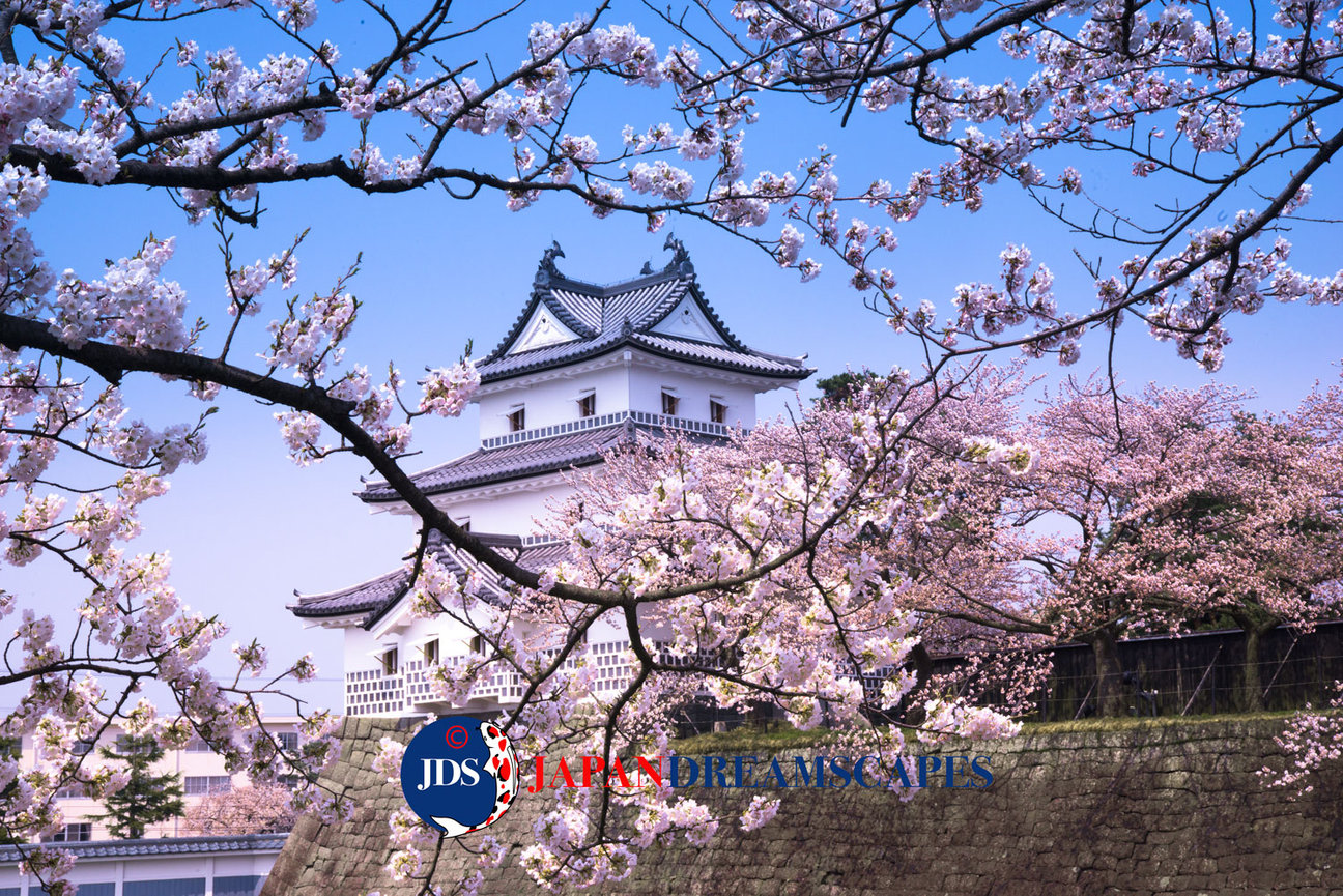 April 6 - April 16, 2026 Sakura Dreamscape Tour - JAPAN DREAMSCAPES