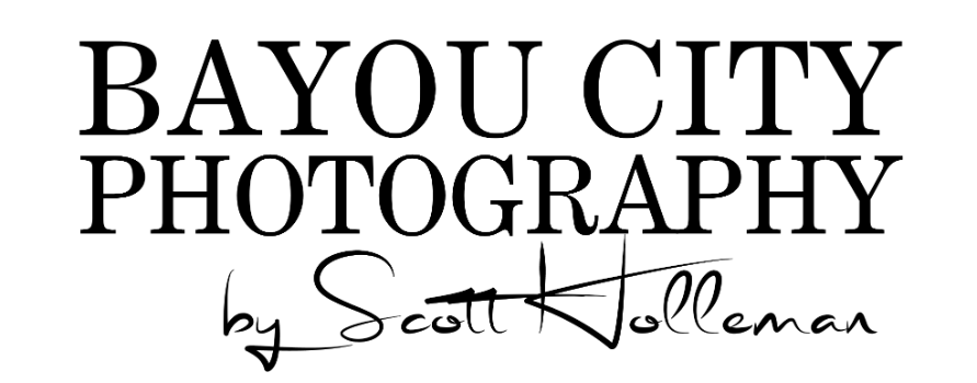 J Scott Holleman Logo