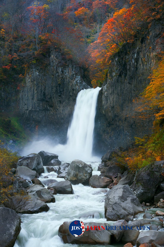 極美品　ROSY MONSTER　autumn leaves top　　洗える 94 I See Red – Driving Miss Viola