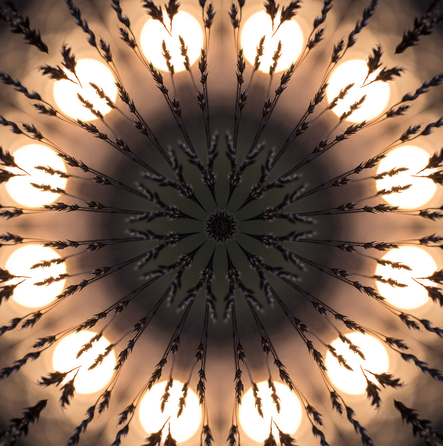 FLORAL ART | KALEIDOSCOPES | Susan Phelps Photography | WOKINGHAM
