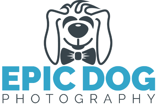 Epic Dog Photography Logo