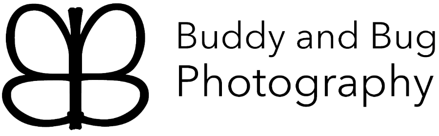 Buddy & Bug Photography Logo